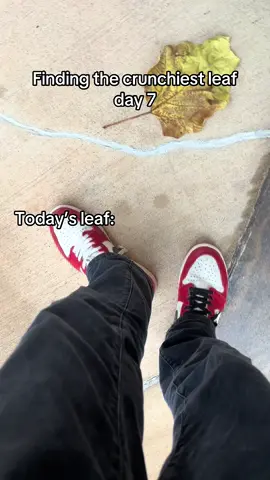 BRO IT LITERALLY JUST RAINED TODAY SO IM GUNNA HAVE TO WAIT TILL THE LEAVES DRY 😭 || #fyp #viral #leafcrunch #day7 