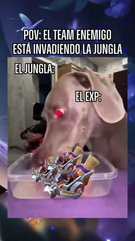 Los EXP que me tocan 😒 #mlbblatam #humor #meme #mlbb #fakesituation⚠️ 