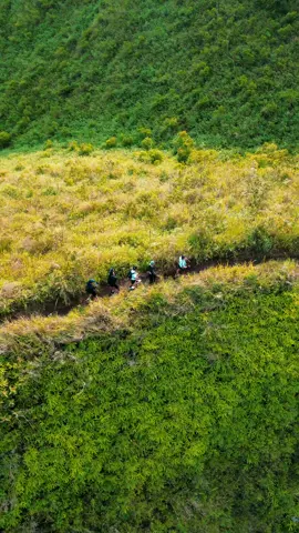 pesona 11000 mdpl 🗿 #djimini3 #pilotdrone #pendakigunung #fyp #watujengger 