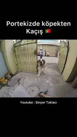 Parkour Vs Dog 🐕 Youtube : Sinyor Taklacı #parkour #freerunning #dog #escape #sinyortaklaci 