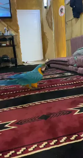 🇱🇾 مصراته ❤️‍🔥