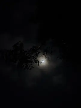 𝐀𝐝𝐢 𝐥𝐚 𝐚𝐚𝐧𝐭𝐚 𝐥𝐚𝐝𝐢𝐛𝐚 𝐰𝐚𝐲𝐞 💕🫶