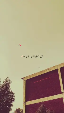 💯🌸❤️‍🩹 #100k #aesthetic #poterylover #growmyaccount #fypシ゚viral🖤tiktok 