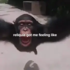 this song changed me @La Rosalia #rosalia #lux #newmusic #reliquia 