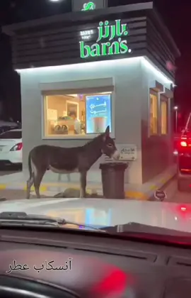 😂😂يازين خضير 