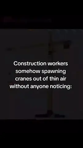 Like how- #cranes #fypシ゚viral #iluvyallsm #godlovesyou #idk