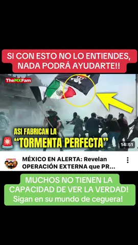 Piensa gente! No te dejes manipular #mexicocheck #bots #fake #viralestiktok #marcha 