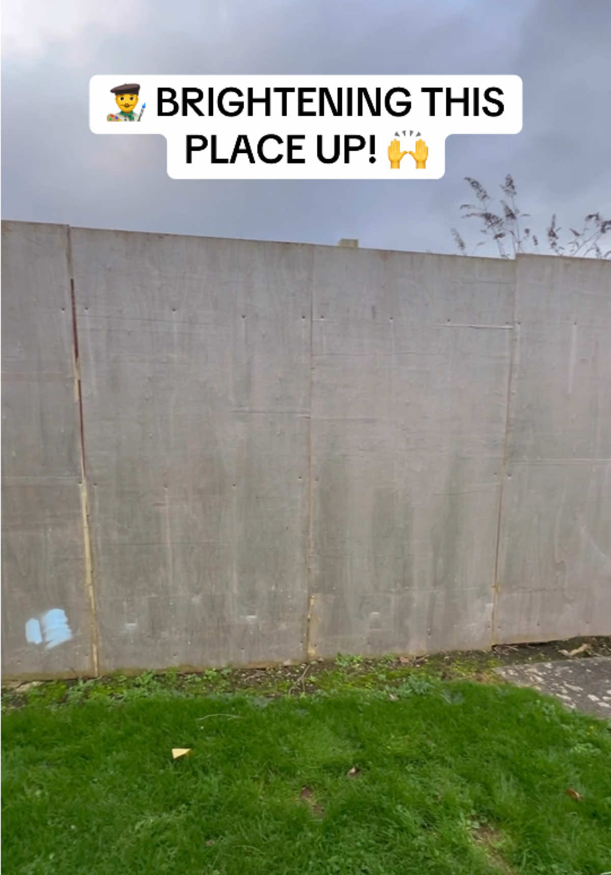 Brightening up the local park with a Portrait Mural. #streetart #portrait #mural #wallart #muralartist 