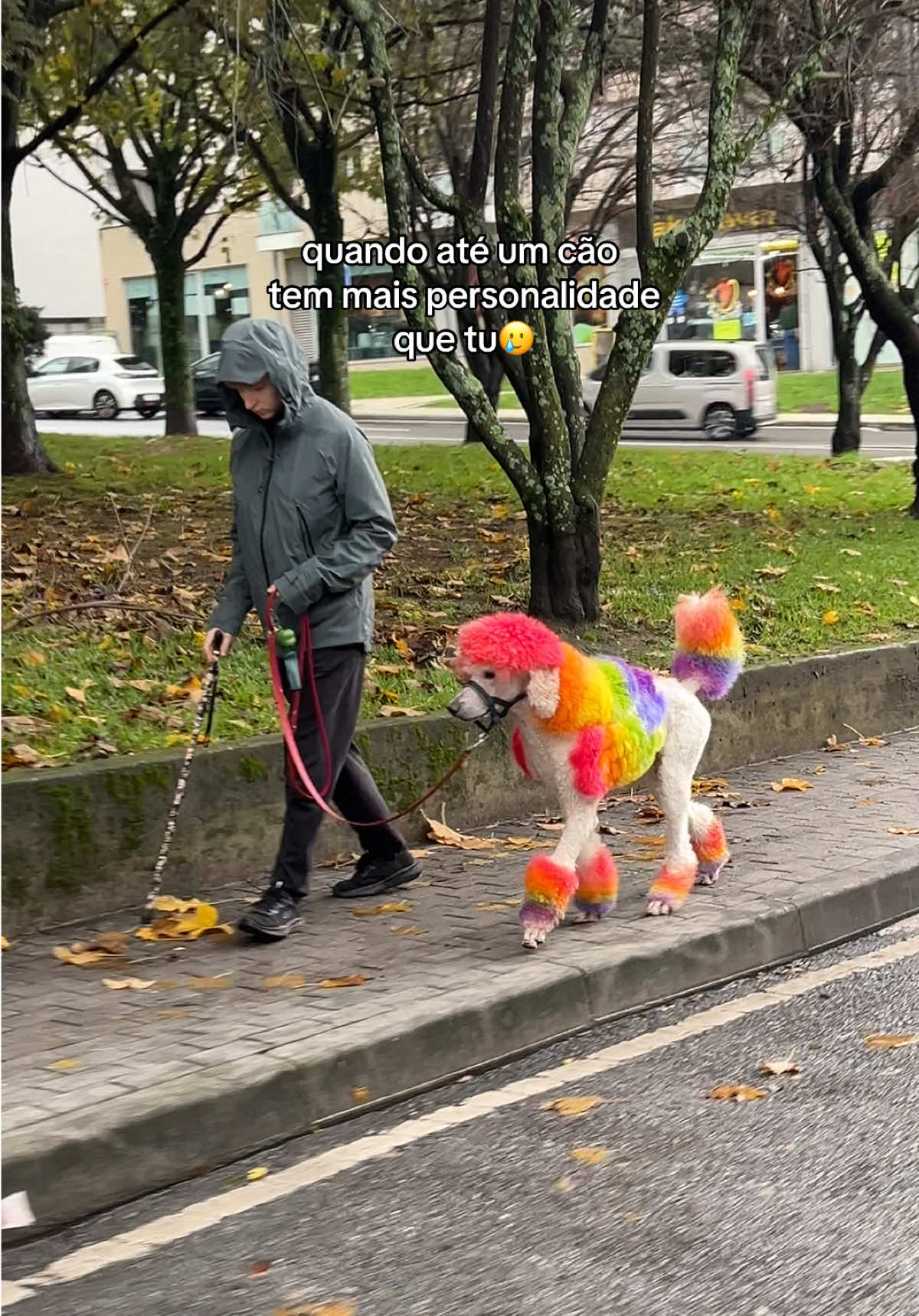 isto só em Braga mesmo 🤣 #braga #foryou #fyp #destaque #comédia 