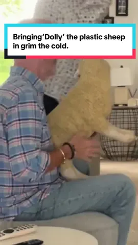 I’m not giving in! Need to #savedolly #wifereacts #funny #marriedlife #whatwouldyoudo ?