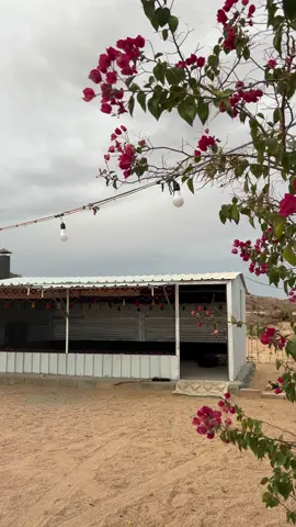 #اكبسلووور #ترند#الوسم #اكبسلووور #الجنوب مشاء الله تبارك الله 📸