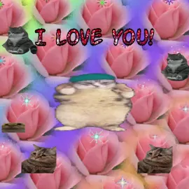 #catcore #streakcore #lovecore #cats #memes 