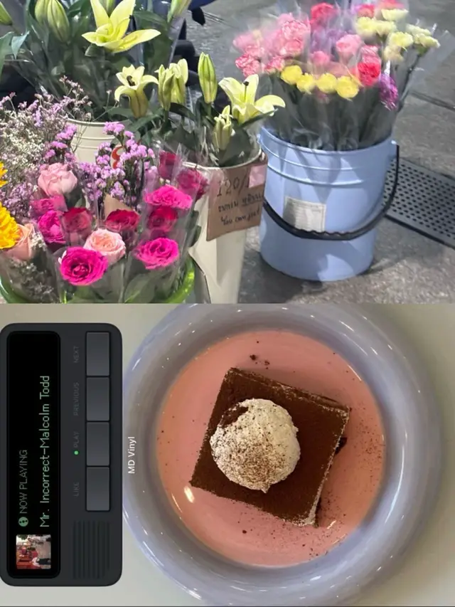 Dump🦧🍄✨🧂🧀