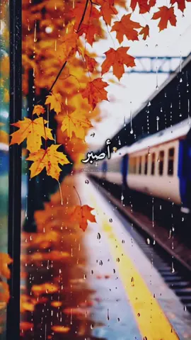 سيلملم الله شتاتك ويداوي الله جراحك فقط ثق بالله ☝🏻#اللهم_أستجب_لنا_كل_دعوة_دعونا_بها🙏 #قل_لن_يصيبنا_الا_ماكتبه_الله_لنا☝🤲🤍 #اللهم_انك_عفو_تحب_العفو_فاعف_عنا #تصميم_فيديوهات🎶🎤🎬 #ترند_تيك_توك 