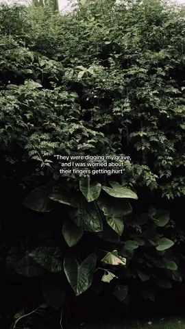 Let me do it for you dear🤍🤌🏻 #fyp #foryou #foryoupage #fypシ゚ #viral 