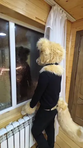 it bites #фурри #фурри #fox #furry #fursuit #furrytiktok #memes #dog #con 