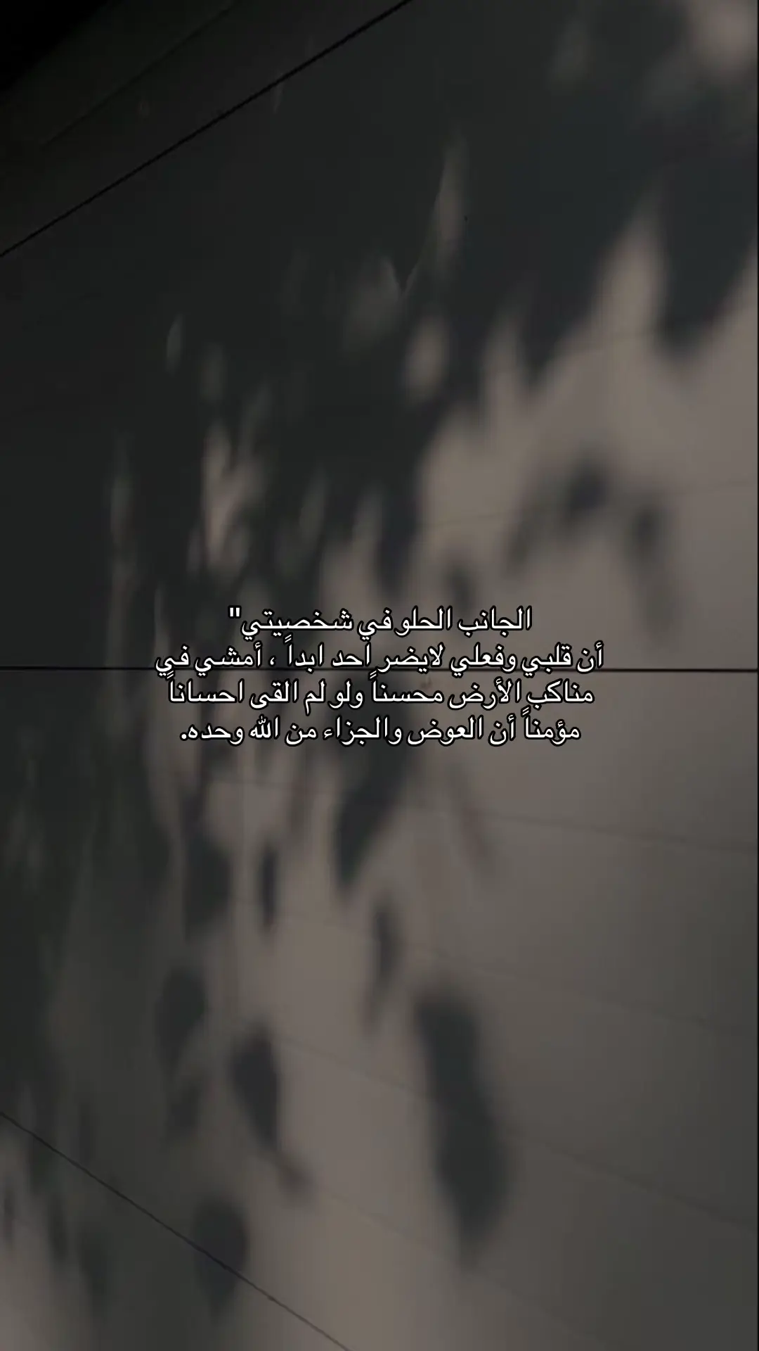 #اكسبلورexplore 