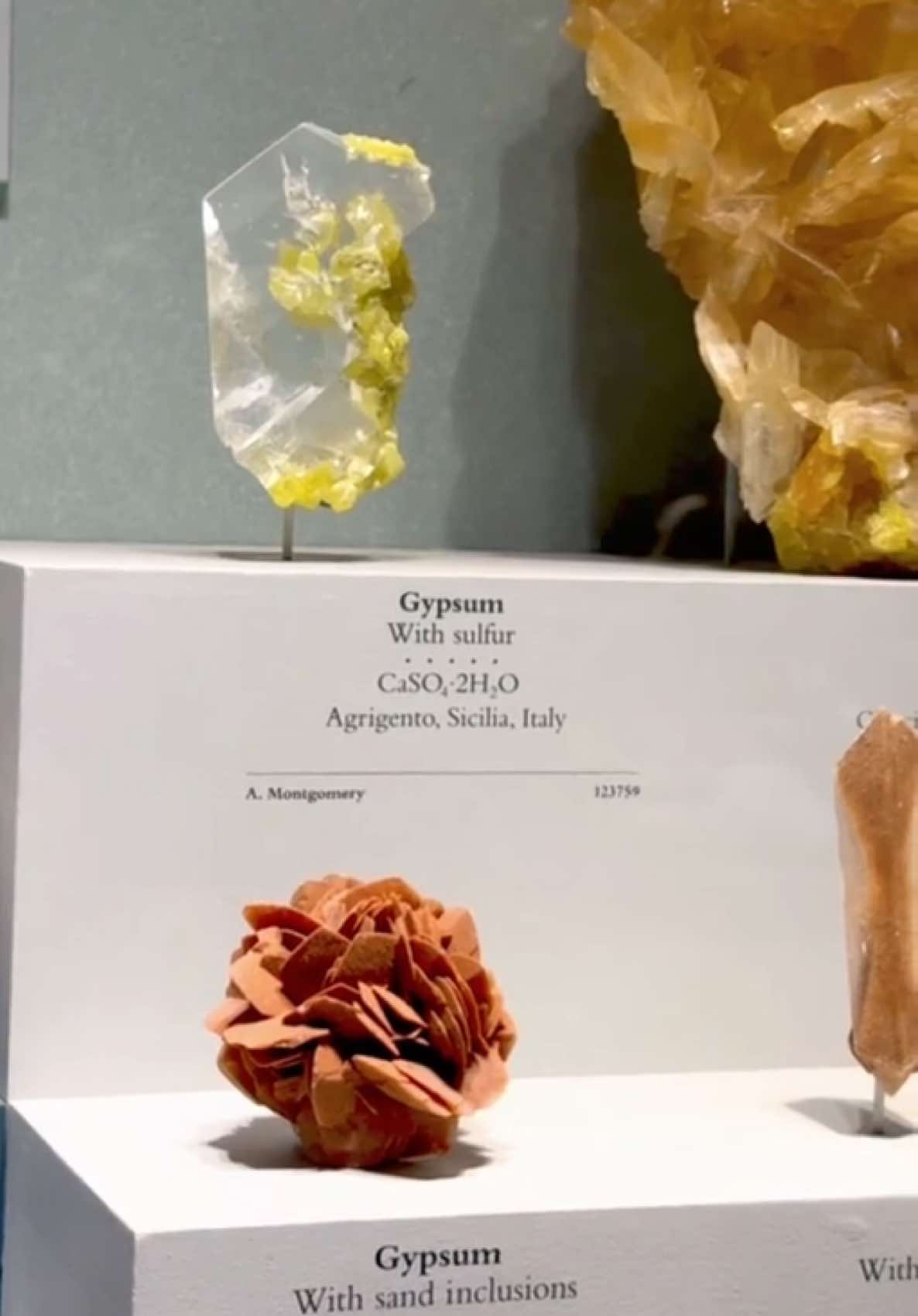 This museum is just perfect! 😍♥️  #gold #washingtondc #museum #nationalmuseumofnaturalhistory #History 