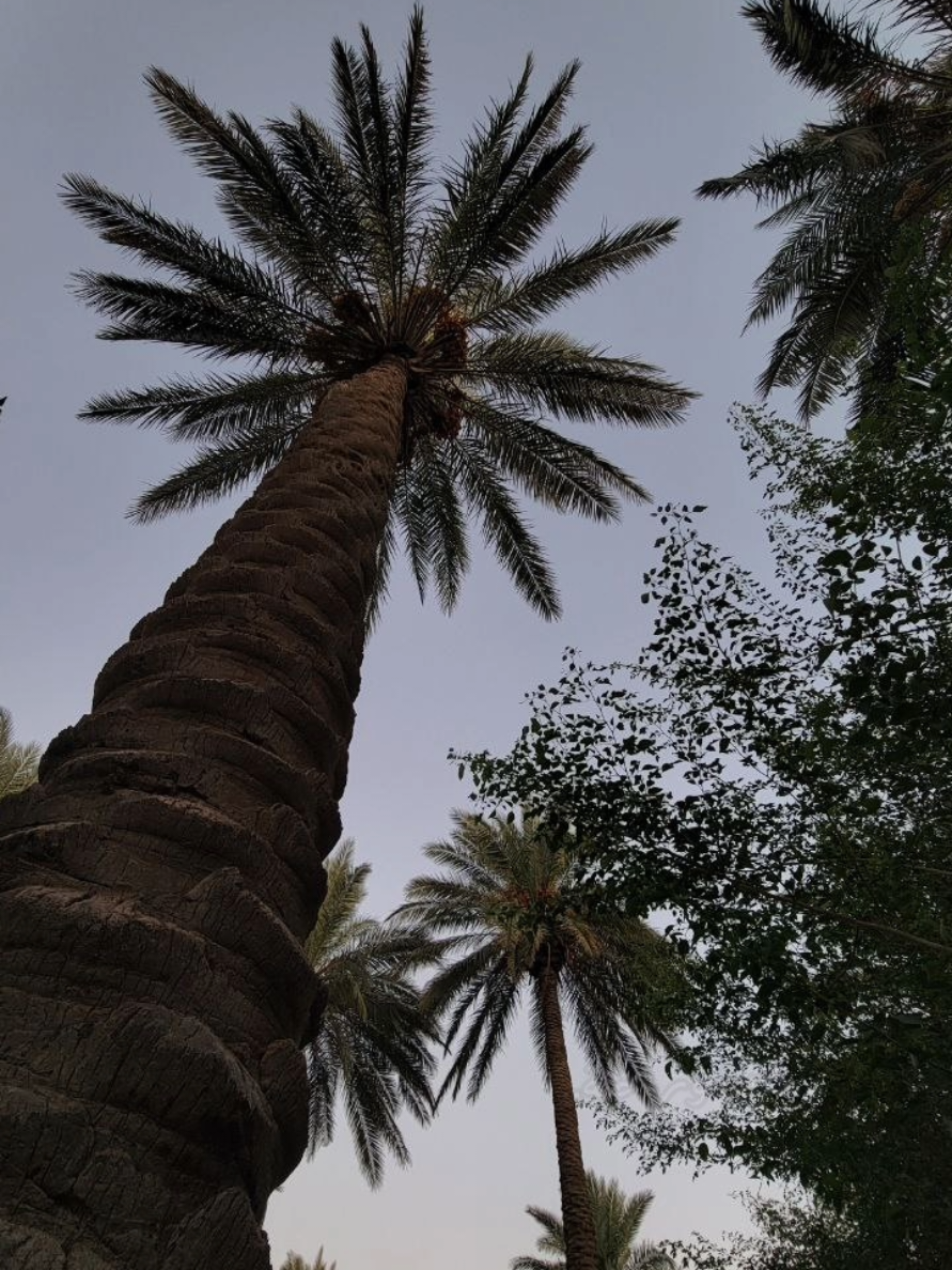 #CapCut #اكسبلورexplore #🖤🖤❤️❤️🖤🖤 #سمير_صبيح💔 #سمير_صبيح❤️ 