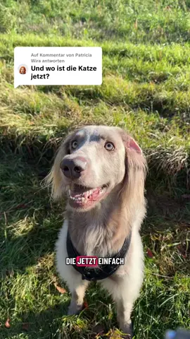 Antwort auf @Patricia Wira 