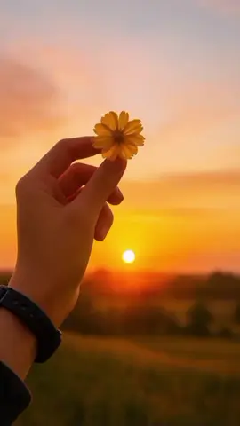 Eu te amo, minha mãe ❤️❤️