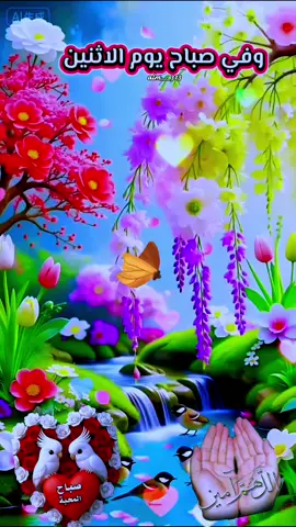 #صباح #يوم #الاثنين #صباح_الخير #صباحكم_أحلى_صباح 