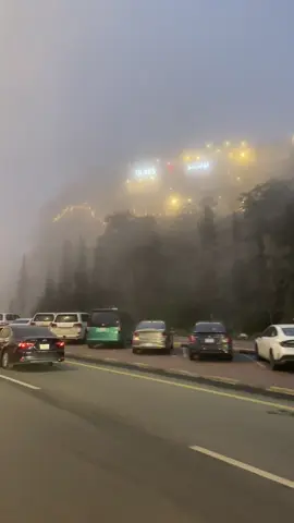 تركتني لبرد الطريق وانا على بابك👩🏻‍🦯#ابها_الان #المعيه #الضباب_ابها 