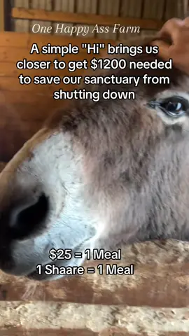 $25 = 1 Meal 1 Shaare = 1 Meal #viral #fyp #usa🇺🇸 #america #unitedstates 