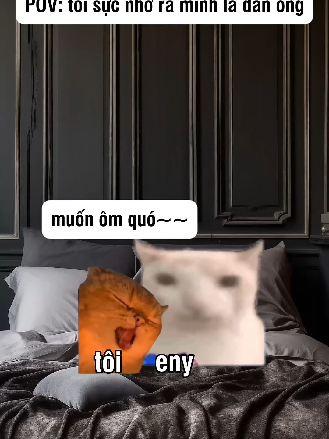 cứng rắn lên nào =)) #shorts #funny #catmemes #cat #catphoto #pets #catpictures #memes #pov #j4f