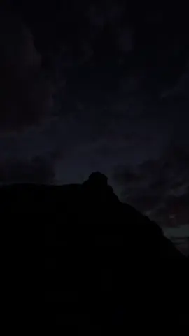 Carol Of The Bells 🥀🎧 #aesthetic #forest #dark #vibes #carolofthebells 