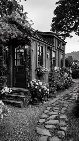 شعر #حيره وقلبي ما ماخذ قراره😭🖤#viral #foryo #viraltiktok #explore 