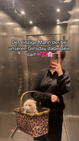 Andere Männer sind nicht erlaubt🙅🏻‍♀️ #girlsgirl #boycat #katze #catmom #fürdich 