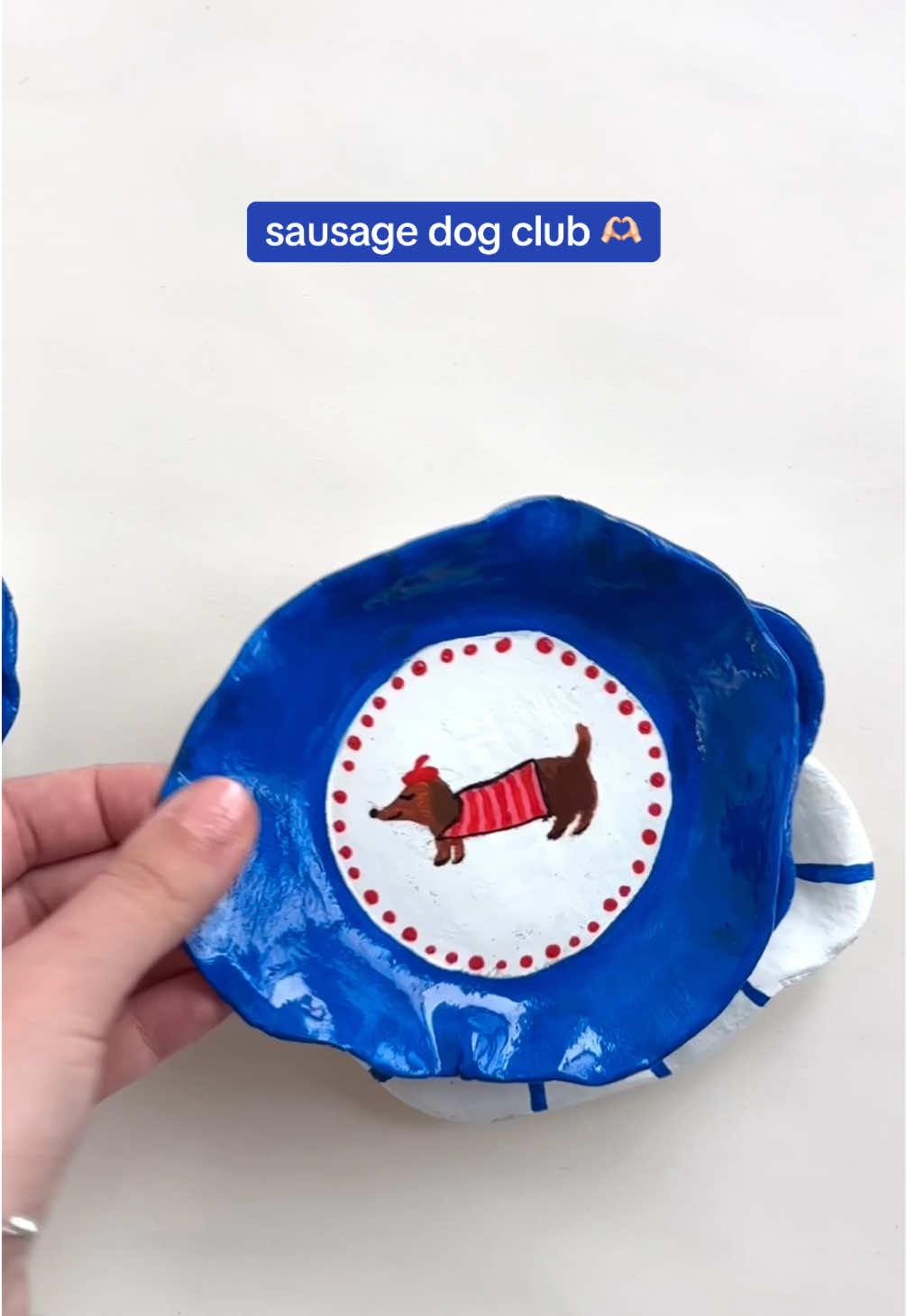 who wants to join the club?👀 #romania #sausagedog #teckel #fyp  #tiktokstudio 