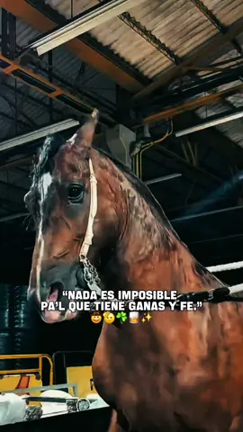 utiliza la plantilla y crea tus mejores videos #plantillascapcut  #viral #colombia #popular #corridos 