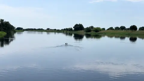 Life🌹🌹🇸🇸