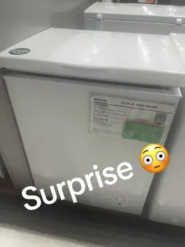 Kennedy said this freezer is big enough to polar plunge in…. 😂 #makeitagreatday #yolo 