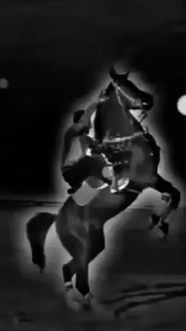 سلطان الصعيد. محمود السوهاجي 🌺❣️