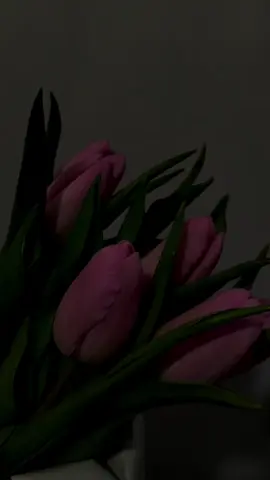 ثروة الإنسان التي لا تفنى : 