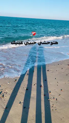 #fyp #foryou #الشعب_الصيني_ماله_حل😂😂 