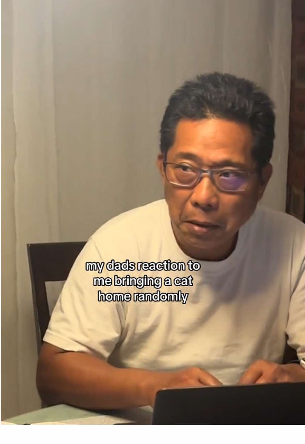 sorry not sorry dad 😹 #cat #catsoftiktok #persiancat 