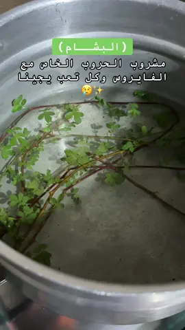 #حرب #explore #اكسبلورexplore #fypage #الشعب_الصيني_ماله_حل 