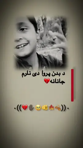 هسی روح می ستا په روح باندی مین دی🥺😔💔✋🏿🫵⚰️😭😭😭😭😭😭😭😭😭😭#100kfollowers🙏👈💑 #100kfollowers👈🥺🥺❤ #tiktok #viral #creatorsearchinsights 