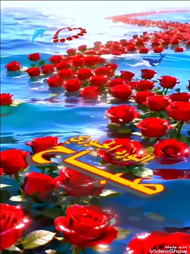 #تصميمي_انا #alialhoot #حياة_الصباح #صباح_الووررد #كل_العرب_احباب 