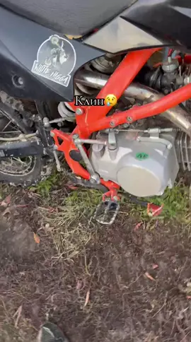 @ТГК: Shama na kayo🧡 #клин#kayo#yx140#evolution