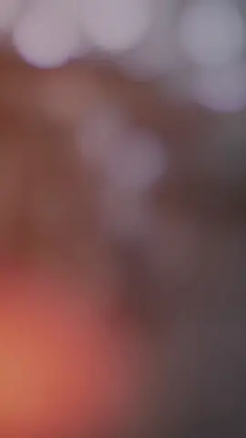 JUTT BRAND 💯💯💯#CapCut 