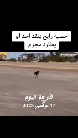 #في هذا اليوم