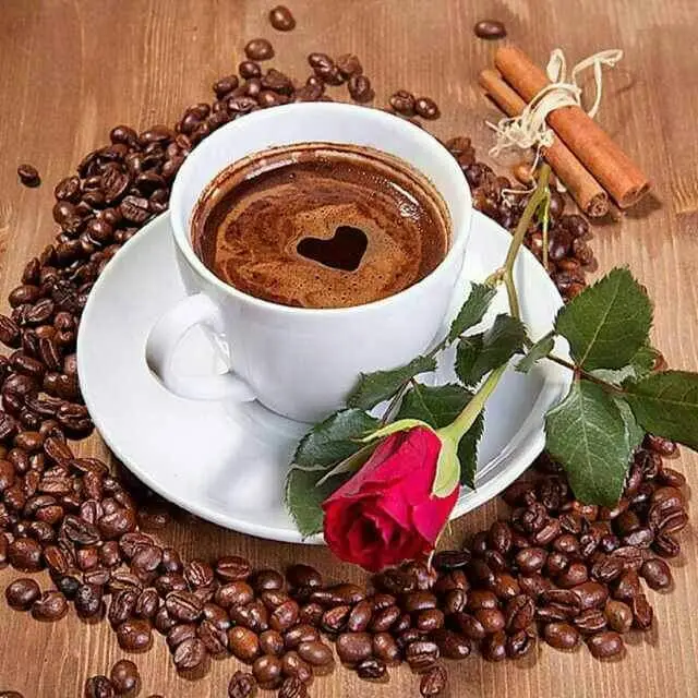 @🦋جمالوو🦋 #infoandfacts 