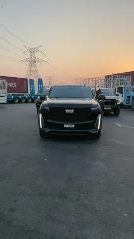 احنا التاريخ و المستقبل ❤️🫶 @Billal__19 @Phobia Isaac #جولة_فوبيا_الرسمية 