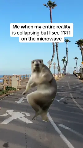 #CapCut  🫠 #angelnumbers #spiritualcomedy #its1111 #angelnumber 