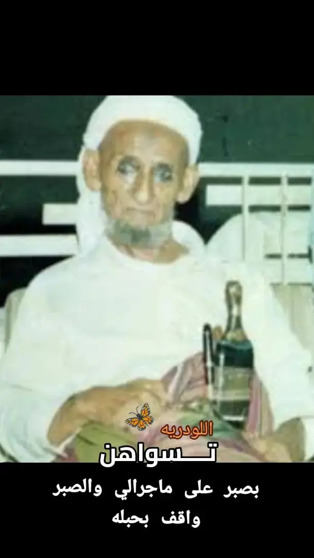 #في هذا اليوم 